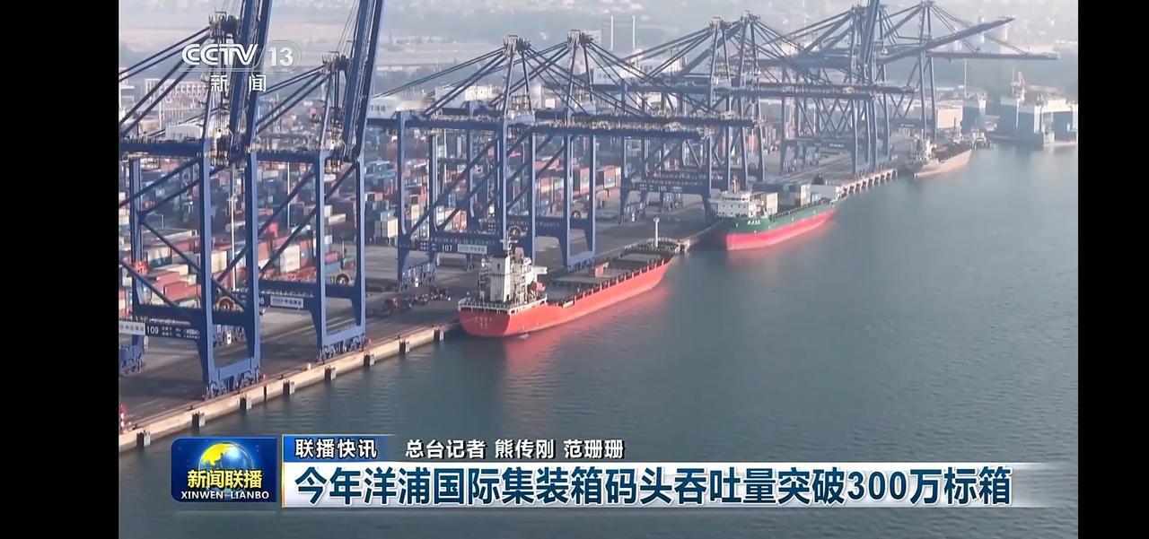 吞吐量突破300万标箱，见证中国港口的繁荣与发展！🚢📦