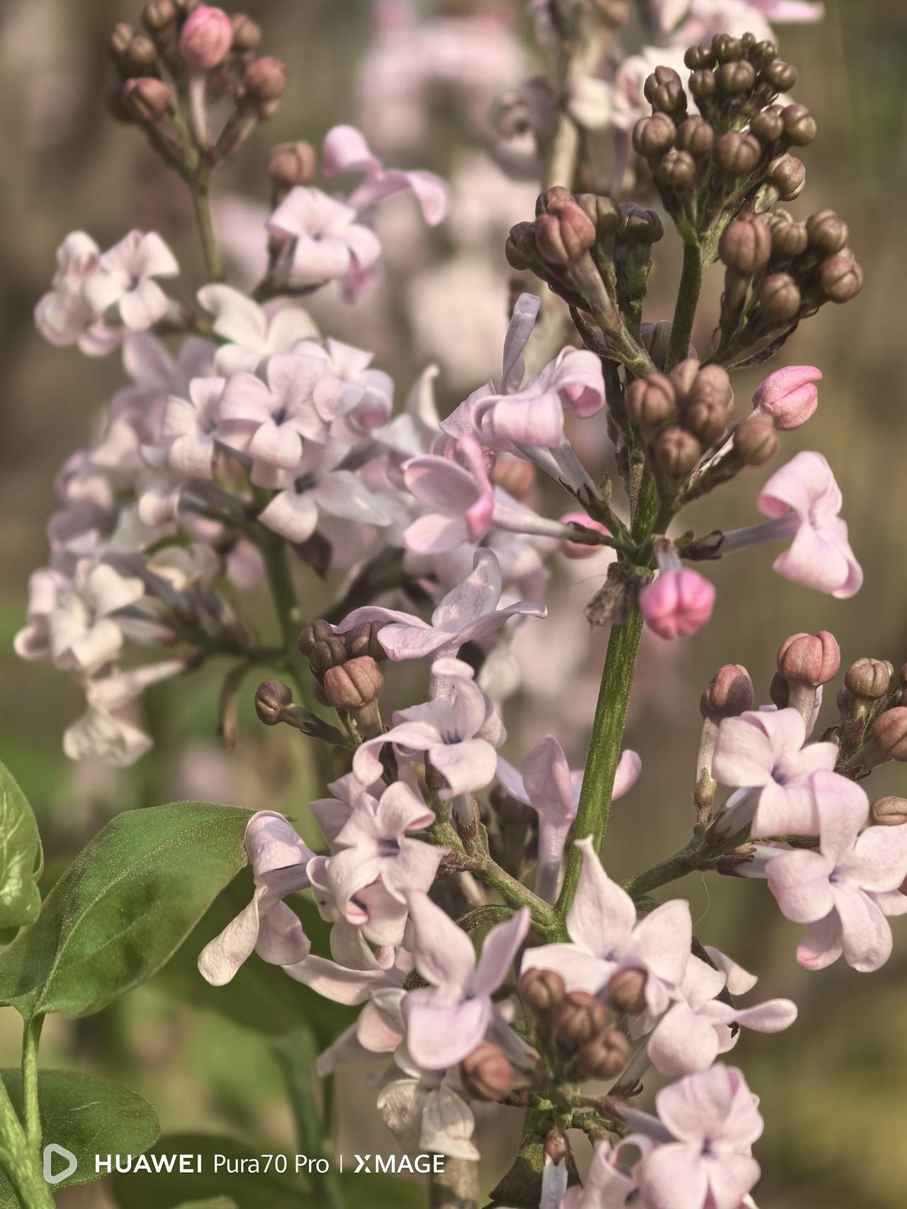 每天盯着外孙写作业是个很让人头疼的事，不过大多数时候是姥姥陪着，我这个姥爷只是偶