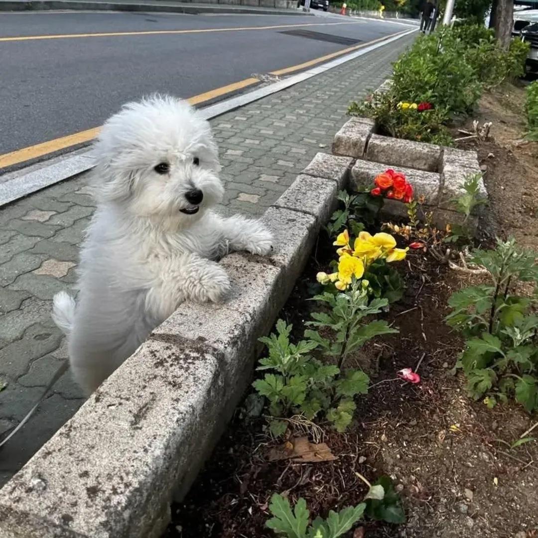 麻麻你看啊！春天真的来啦！ 