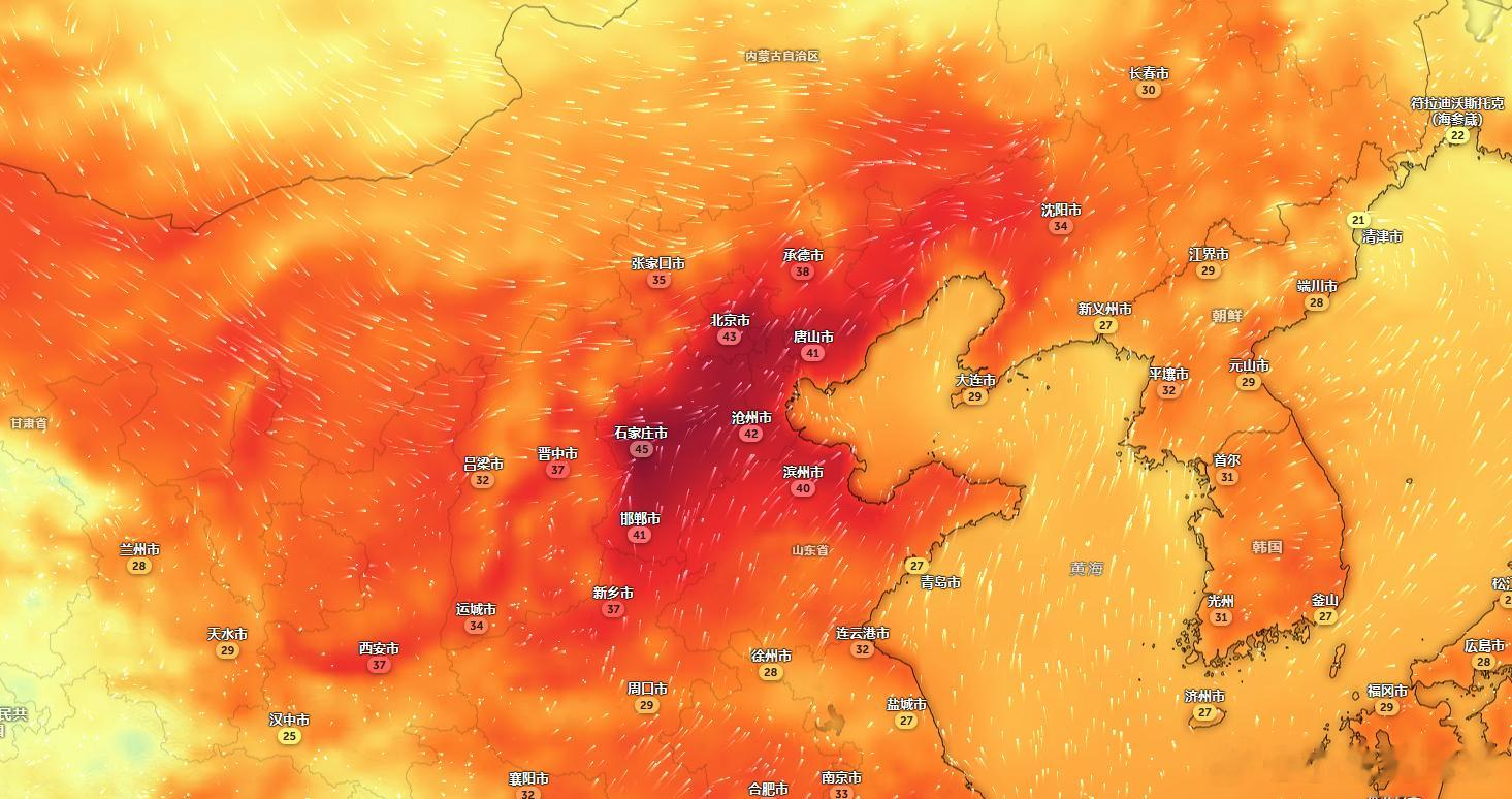 今天下午石家庄45℃，北京43℃[裂开] #河北高温##北京高温# ​​​