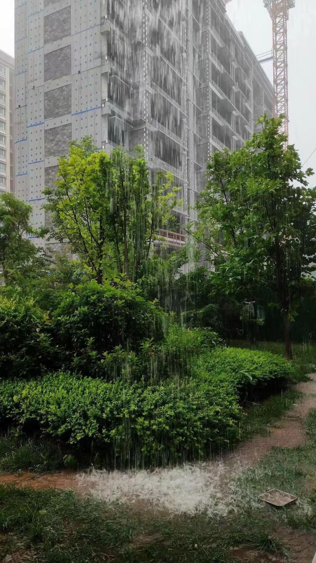 玩法合伙人计划 情绪音乐玩法新风向