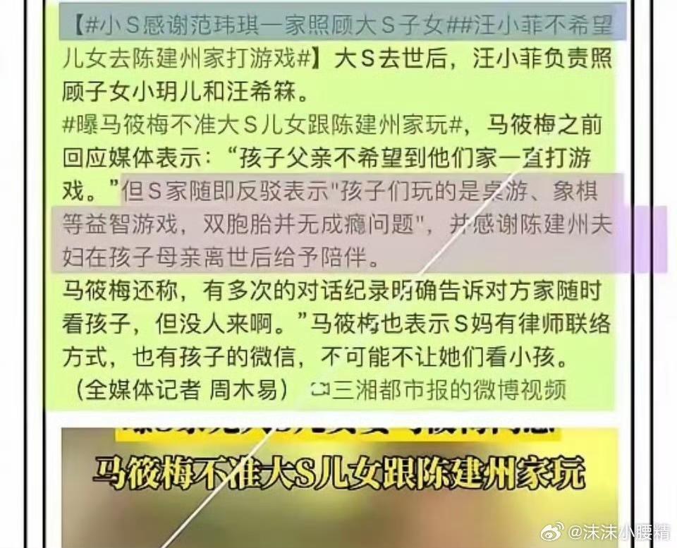 小S爆新瓜，感谢黑人帮忙照顾大S的孩子，孩子在一起都是要其他游戏。这样做有什么意