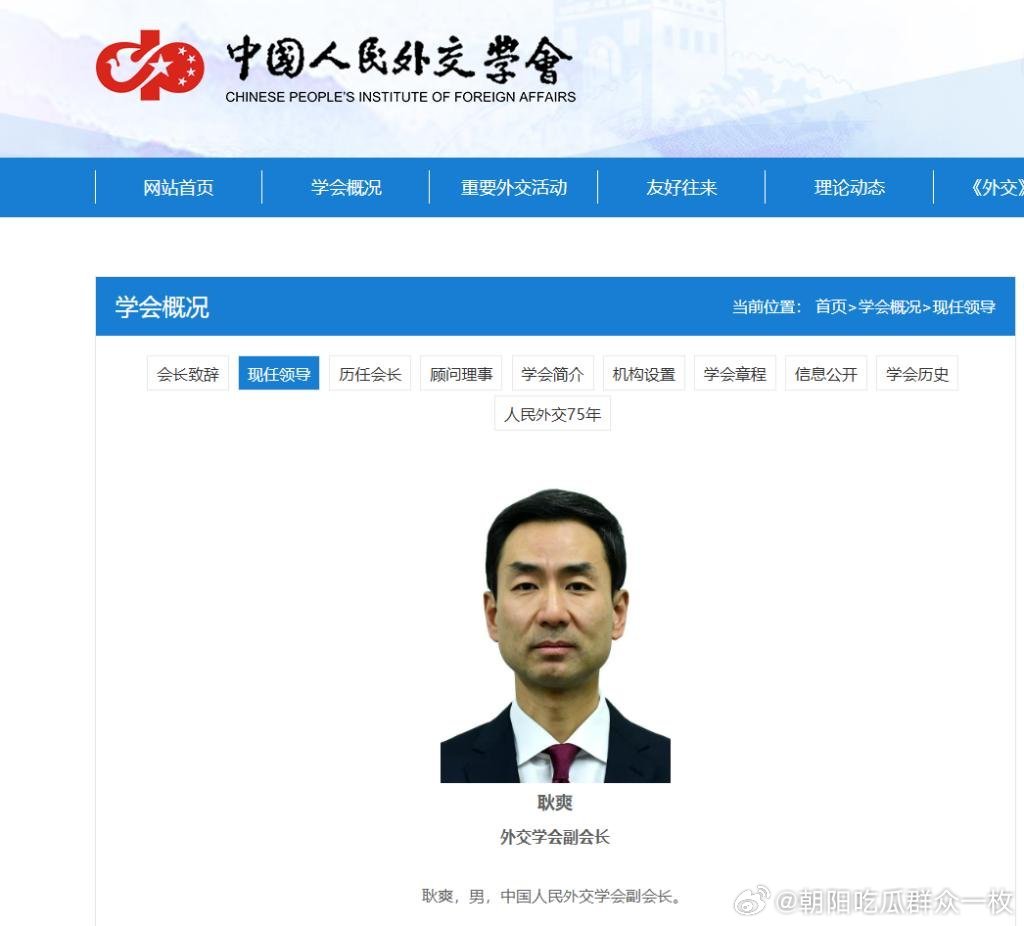 耿爽已任中国人民外交学会副会长。 