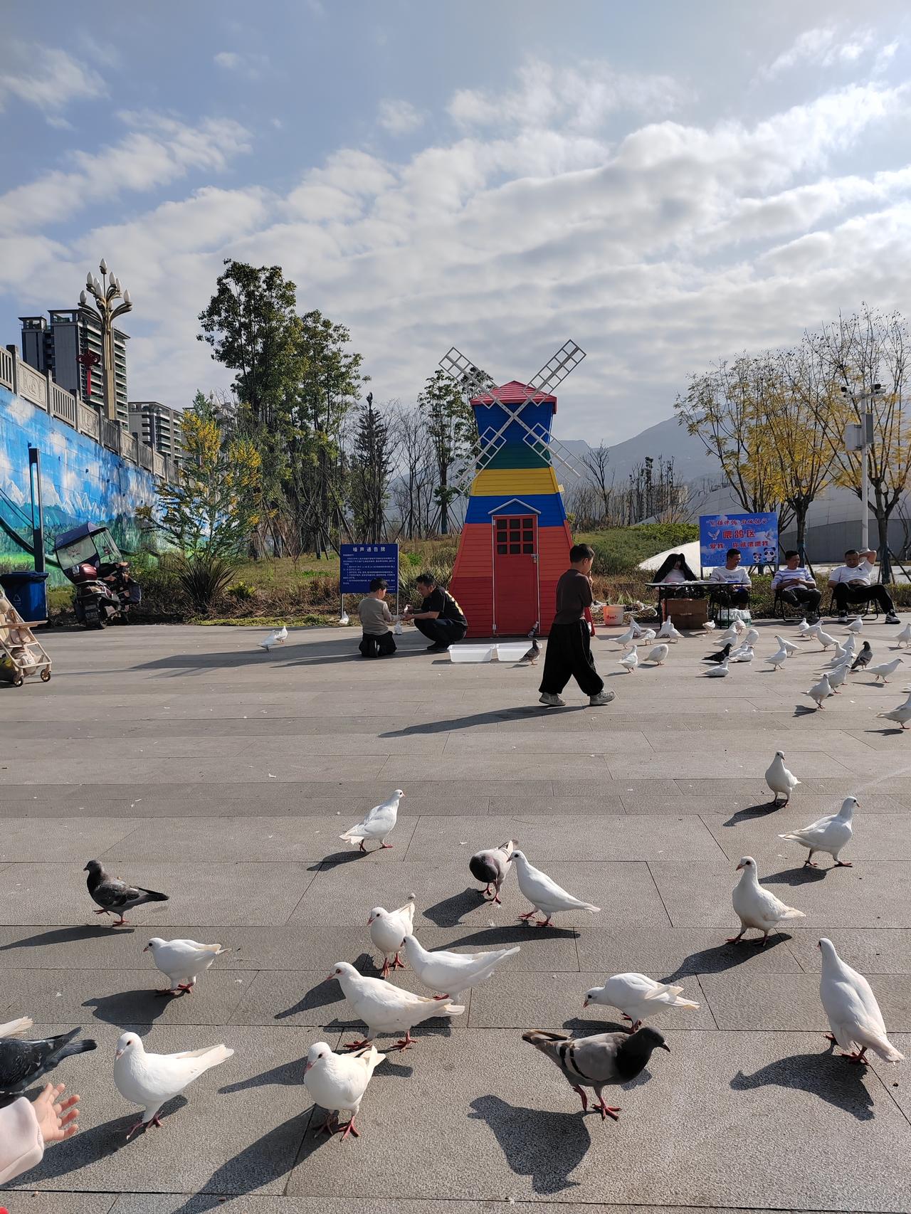 大兴公园的午后，阳光铺满广场。孩子们在乐园里嬉笑奔跑，大人们烧烤、K歌、露营，烟