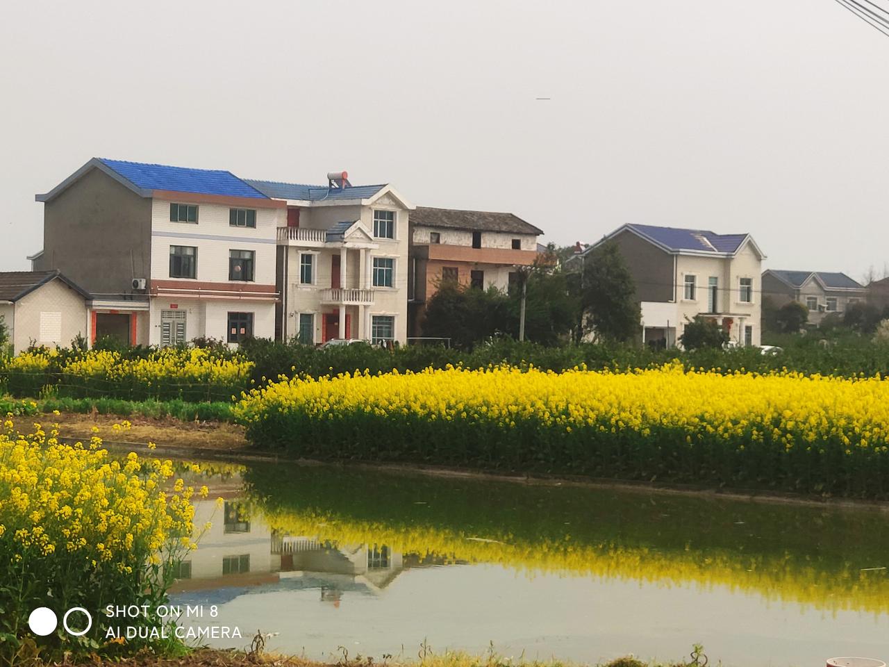 年青人该不该躺平？我认为不应该躺平，有人说不躺平找工作难，赚钱难，买房难，结婚难