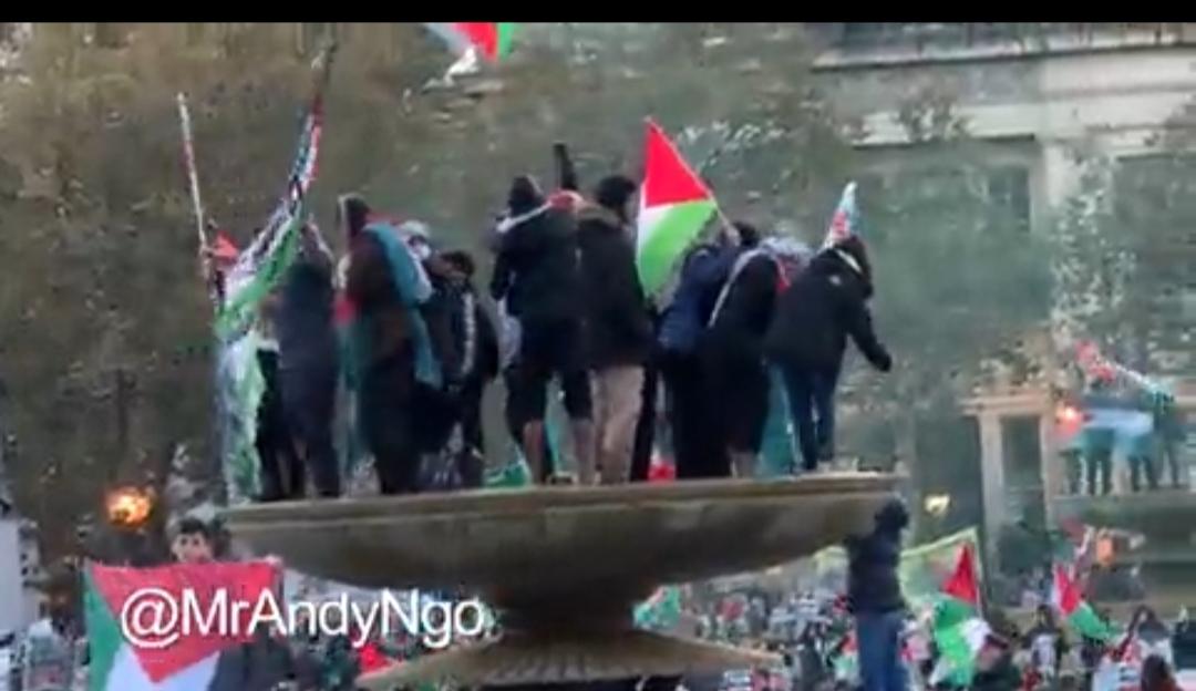 英国伦敦大量巴勒斯坦人聚集，高举巴勒斯坦国旗庆祝他们的胜利！