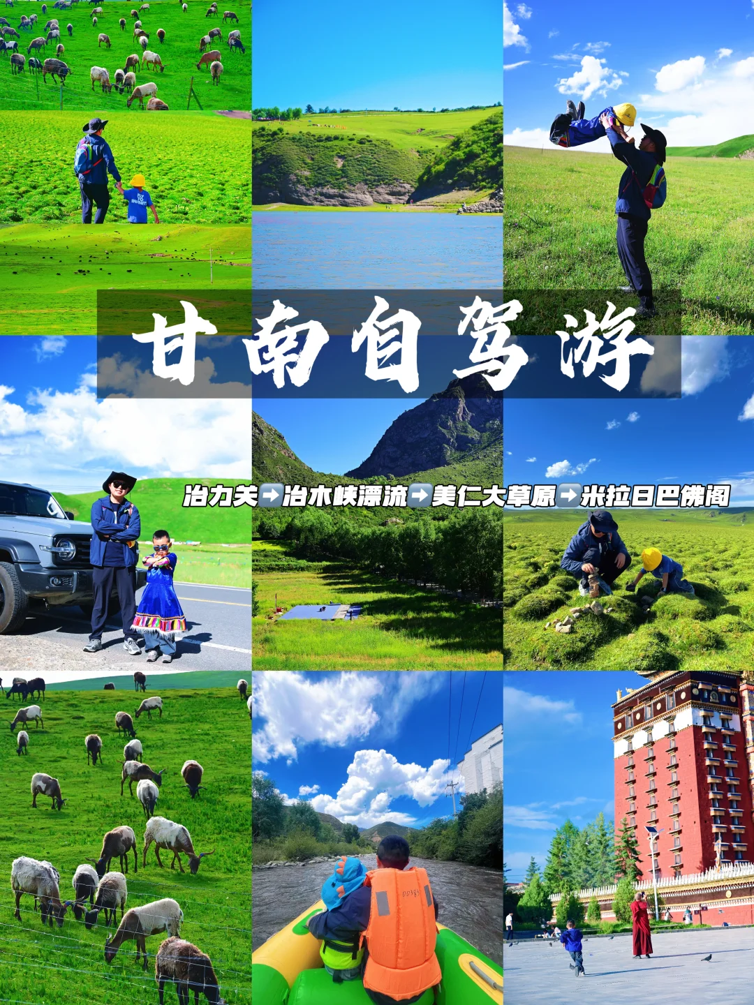甘南自驾游‼️邂逅高山草甸🌿探秘藏地秘境