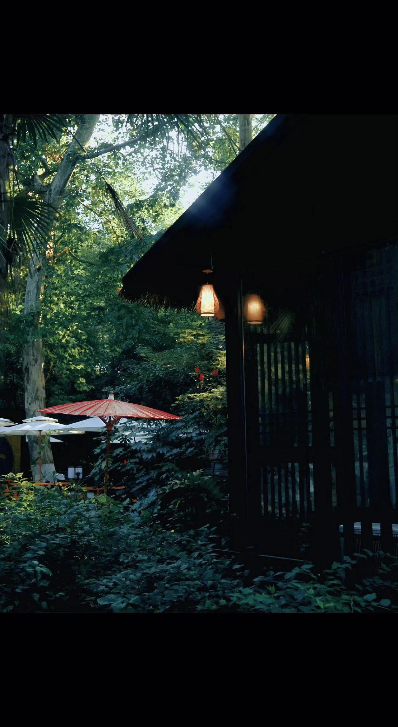 🌿木窗棂框住整片绿，檐角灯笼在风里打盹✨。光影漏成诗行，时光在这里走得很慢🌳