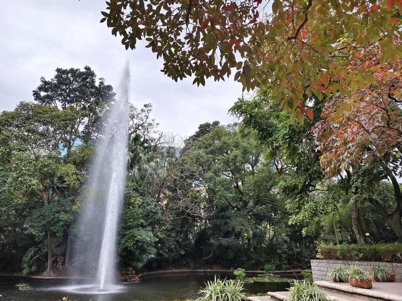 跑步三公里，两百个俯卧撑，卷腹，哑铃，开合跳，正心正念，理性精神，长期主义