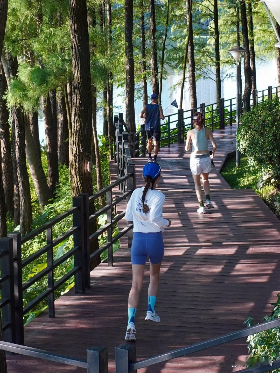 早起后有晨练、散步的习惯吗?我很推荐早起晨练散步，既能唤醒身体、提神醒脑，长期坚