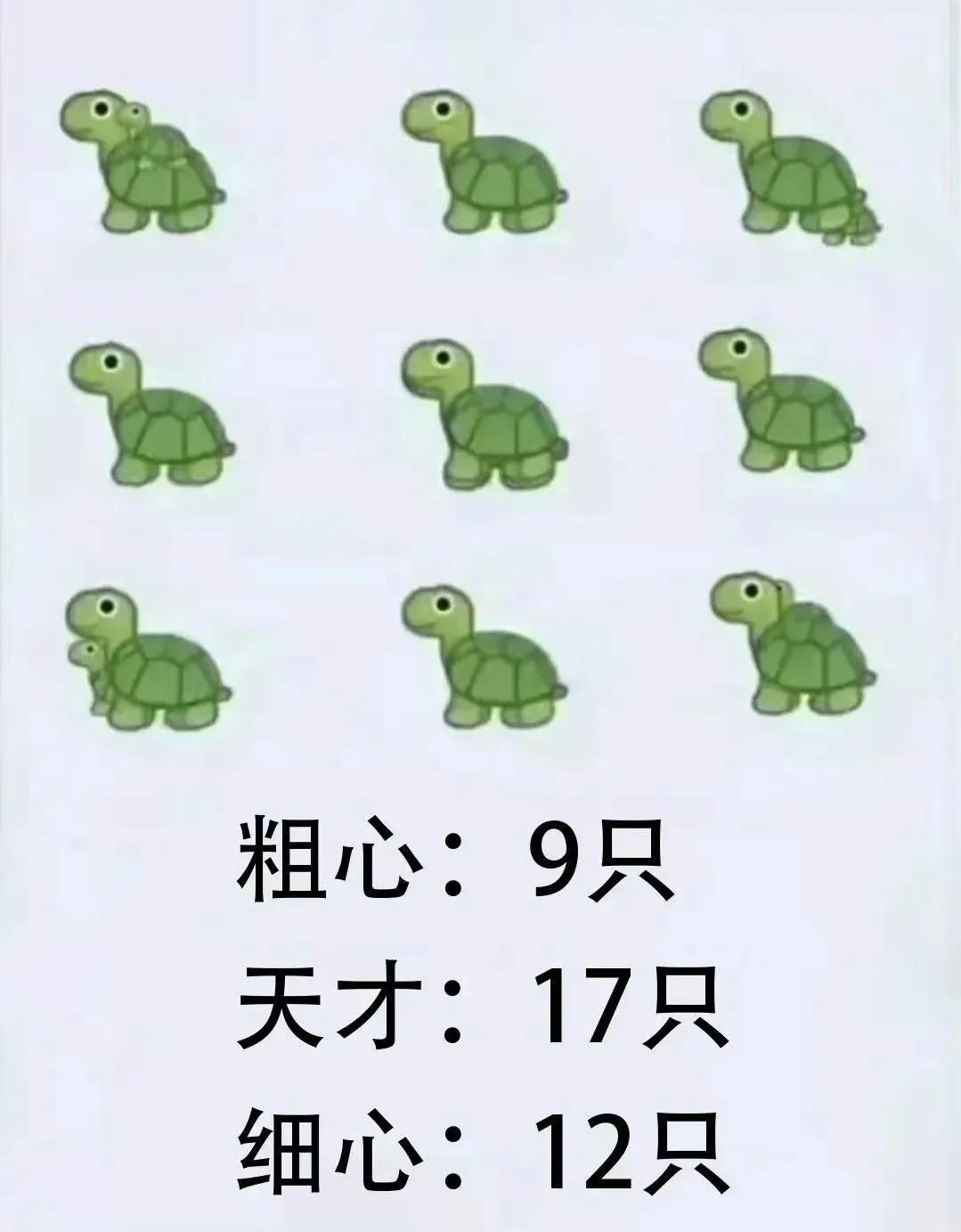 来考眼力，好家伙，我只看到了14只耶。你们看到了几只乌龟？[可怜][可怜][可怜