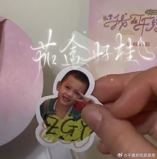 tg 张桂源幼崽贴纸 