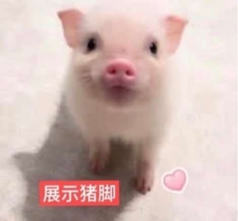 你们别睡了快起来 