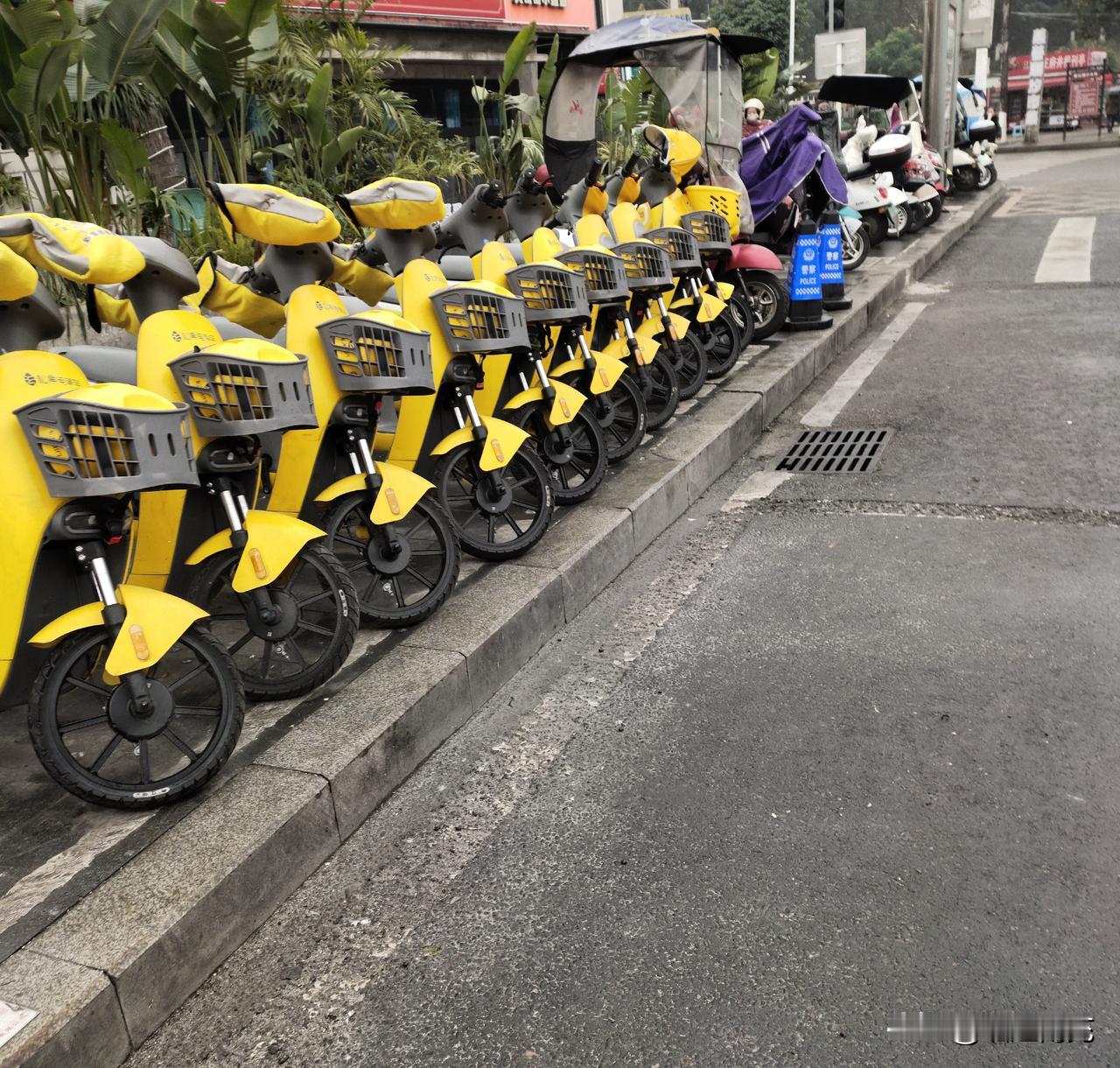 高坪城管这里共享电单车需求很大吗？准备还要投放多少？

今（29）日，网友给“崛