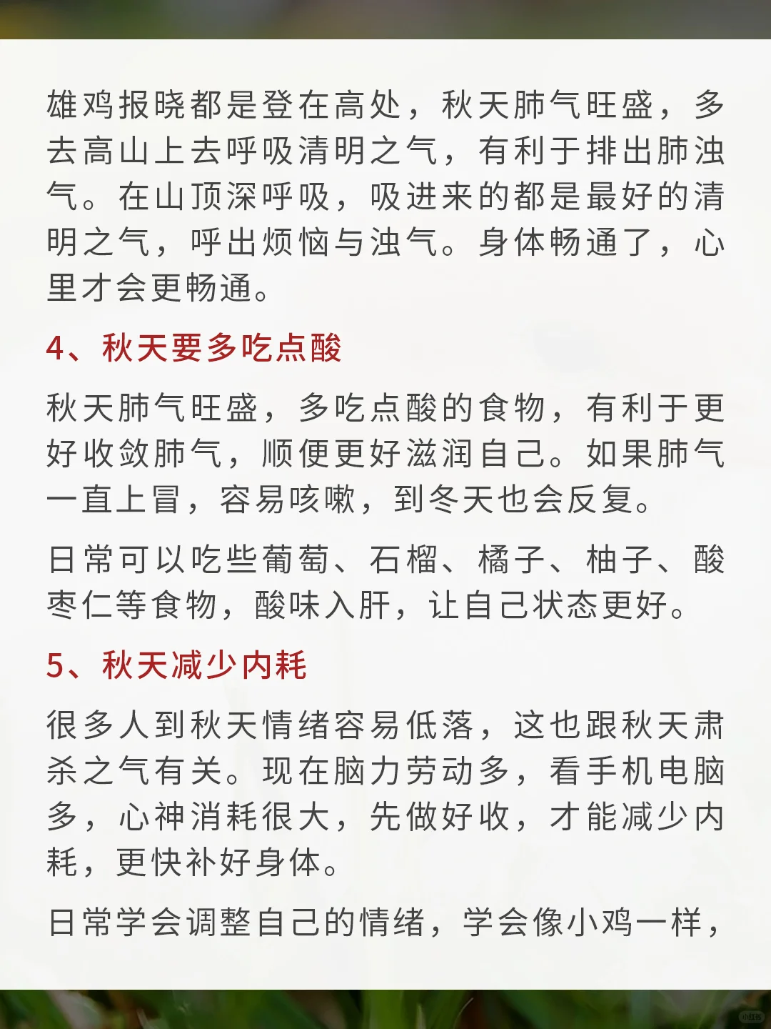 中医：身弱之人，秋天要像鸡一样生活！