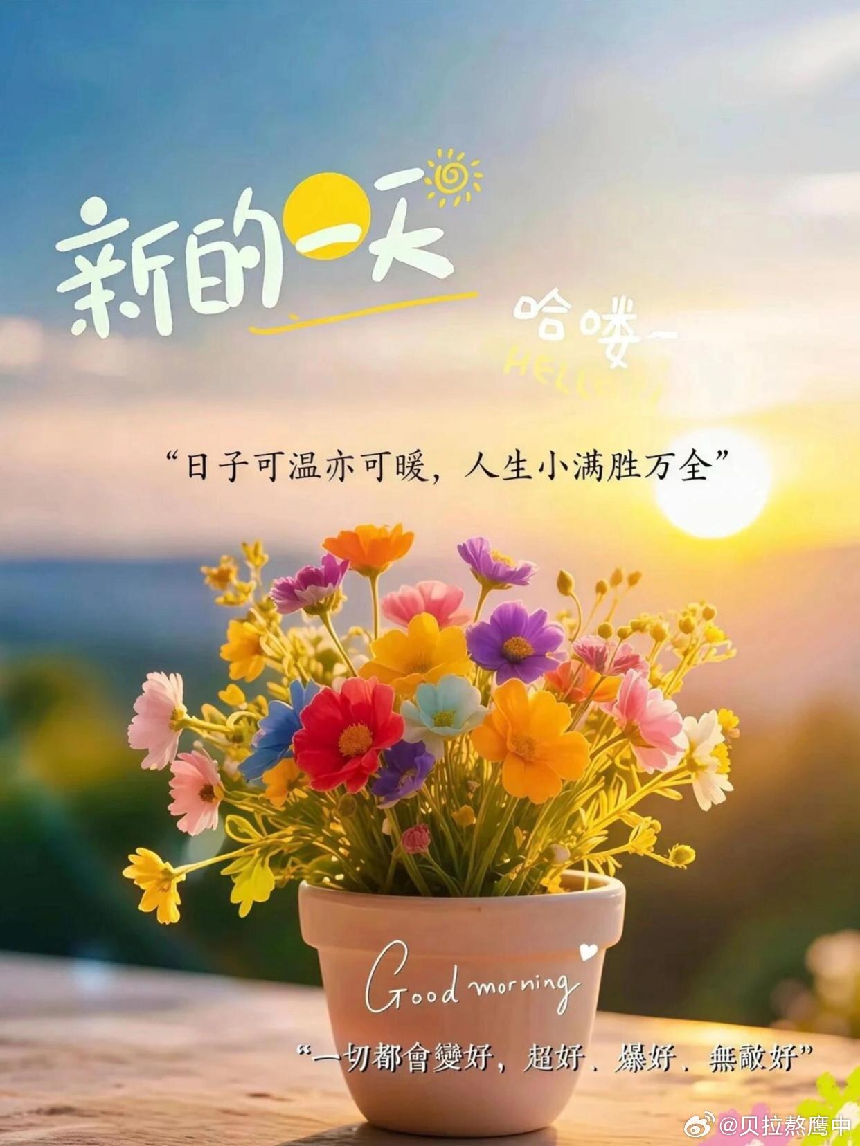 早安 学会和孤独做朋友，它不是敌人，而是镜子。在孤独里，你能看清自己最真实的样子