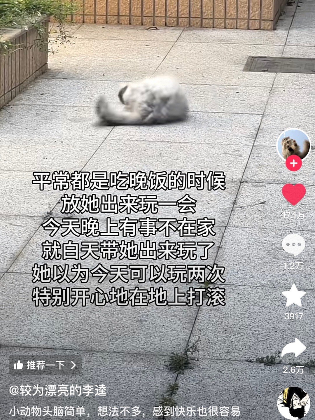 逵宝很快会知道命运的馈赠已经暗中标好了价格你告诉她这叫调休[挤眼] ​​​