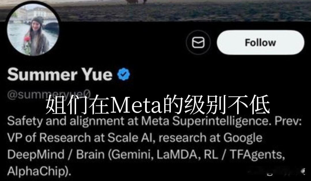 小扎你看看自己请的人工智能安全部门负责人什么水平[我想静静]

Meta（脸书）
