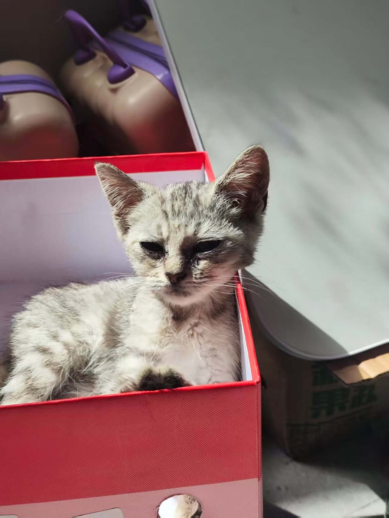 刚来第一天 VS  现在 嘿嘿 