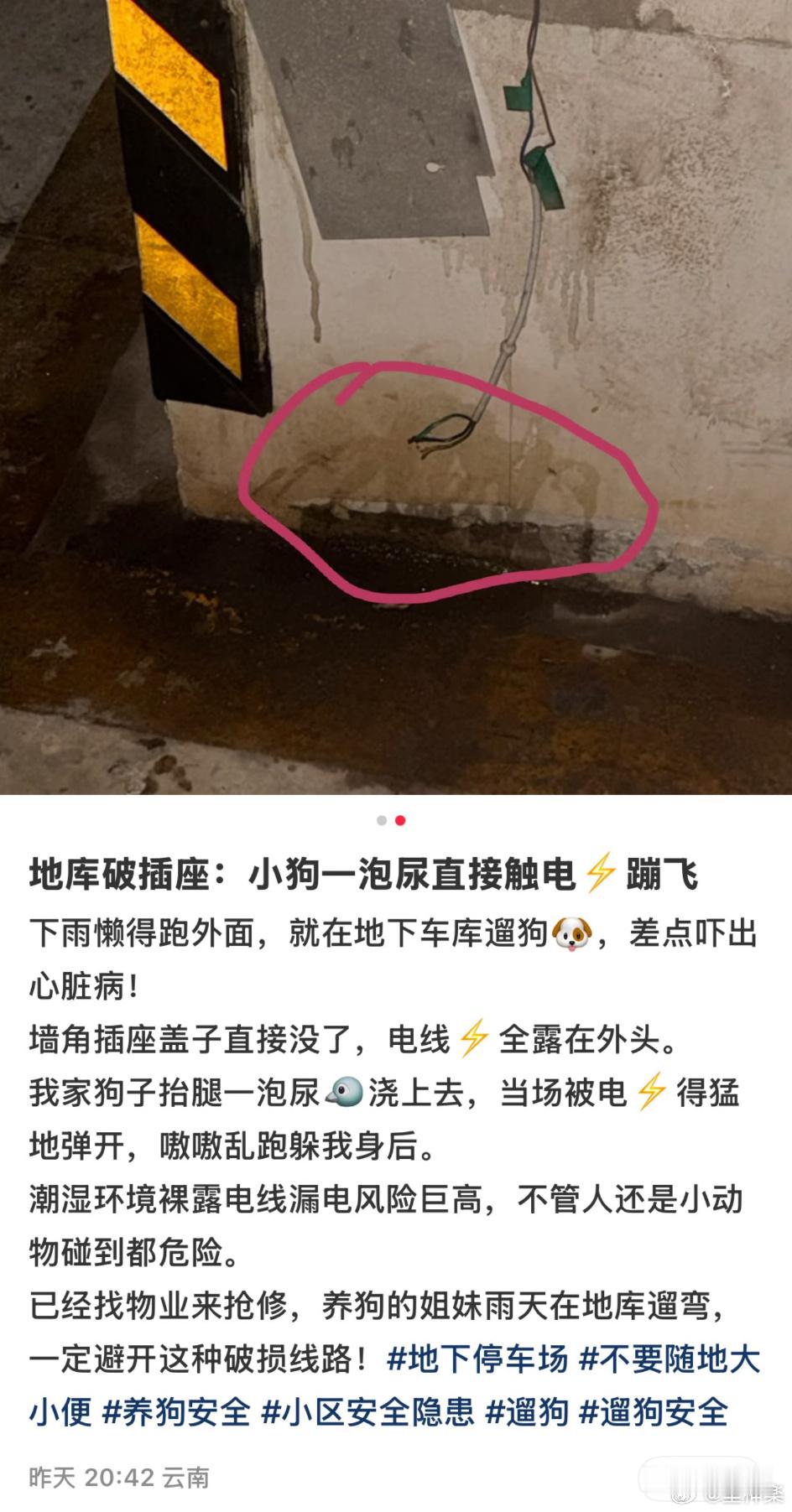 这下挺好，不用绝育了 