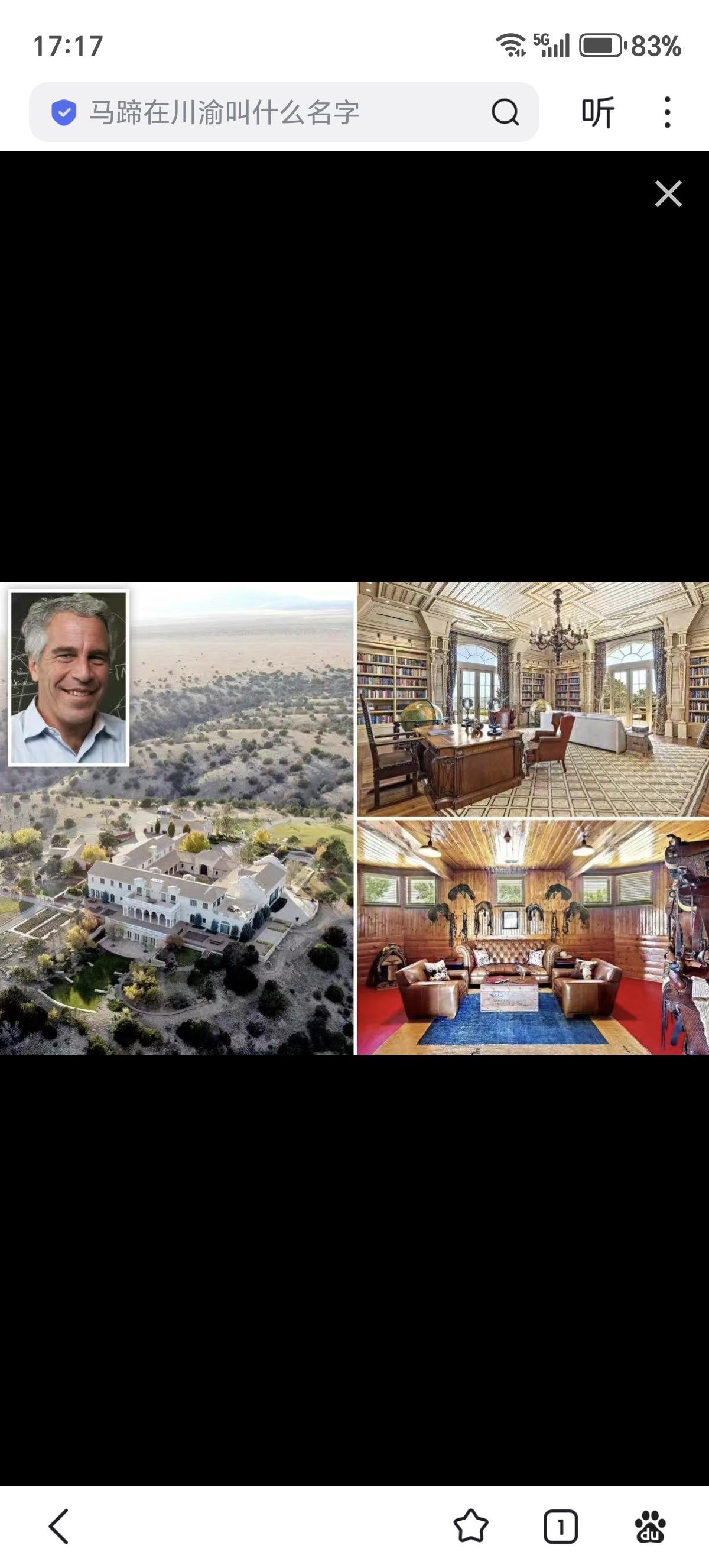 2009年，美国联邦调查局收到线报，称爱泼斯坦位于美墨边境附近的“佐罗牧场”将贩