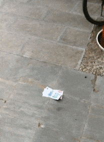 谁的钱？
犯法了知道吗