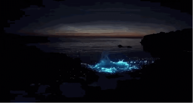 早安早安心语早安,新的一天  早安心语超话  治愈不开心人生感悟人生微语每天说早