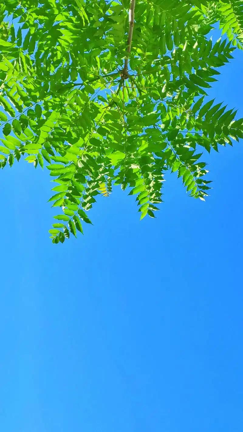 有段话很通透：“不要去管任何人，即便是有血缘关系的亲人，也不要管，几十年形成的认