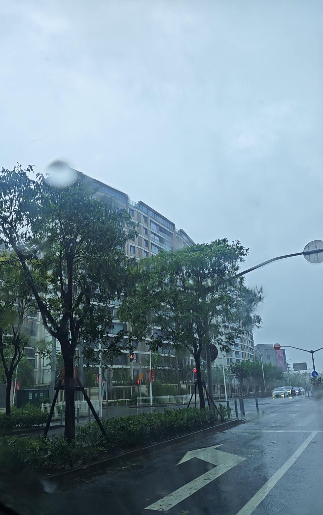 台风白海豚登陆后的第二天，上海依旧风雨缠绵。雨一阵大一阵小，时紧时松，狂风刮过来