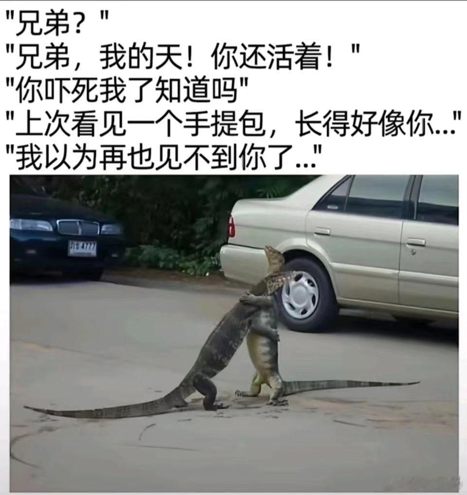 因为有事，今晚的周六例行直播暂停哈 ​​​