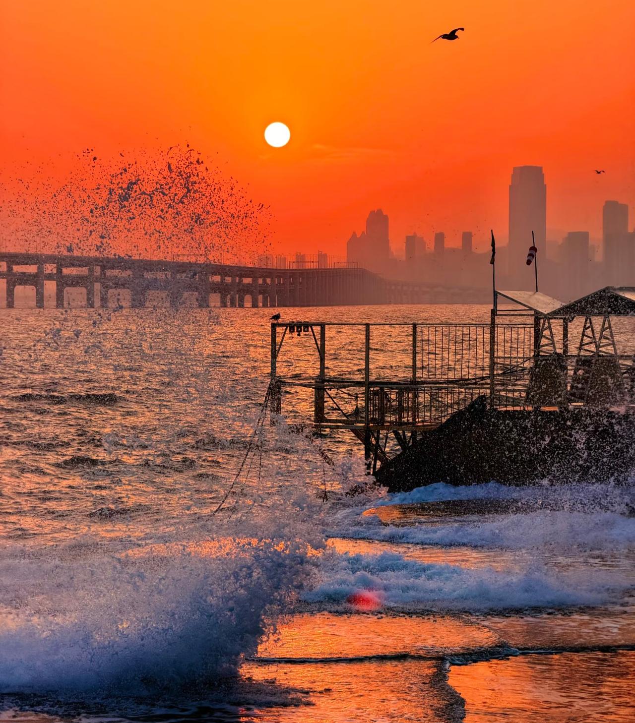 大连海边落日真的太美了！
有时间一定要来大连看一次日落
保证你不虚此行
和朋友从