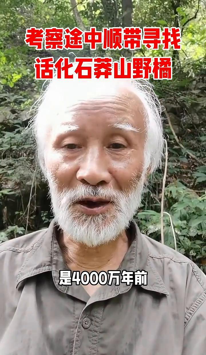 满山野菊，山里人叫它“化虫”，不是啥神话植物，是真有年头的老古董。
九月结籽，十