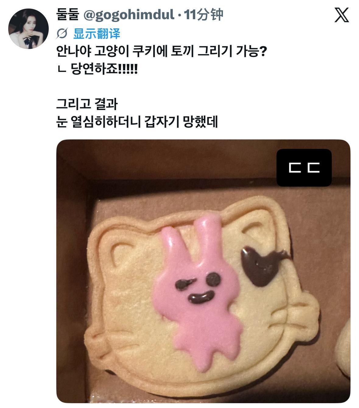 安娜呀~可以在猫咪饼干上画小兔子吗?ㄴ当然可以!!!!!本来很认真地在画眼睛 结