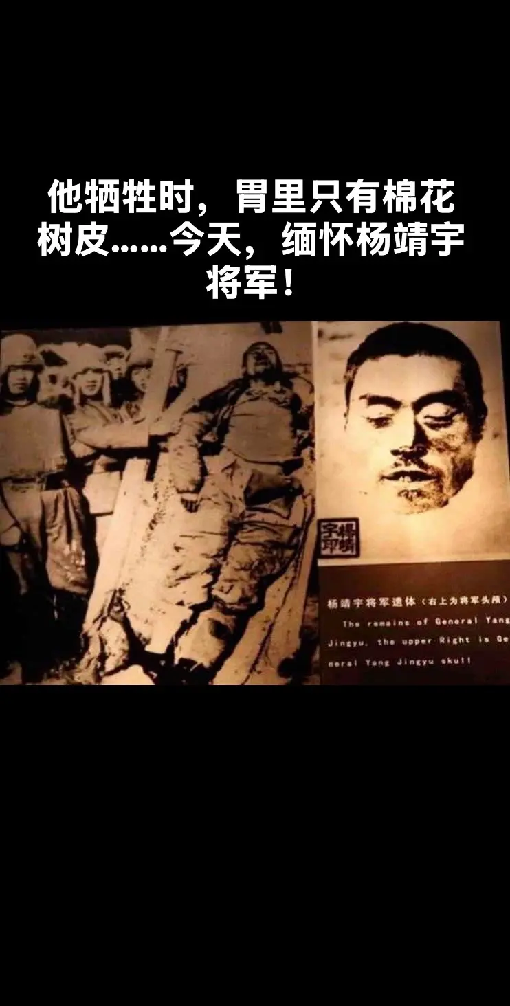 他牺牲时胃里只有棉花树皮，缅怀杨靖宇将军。杨靖宇1905年生人，在抗日...