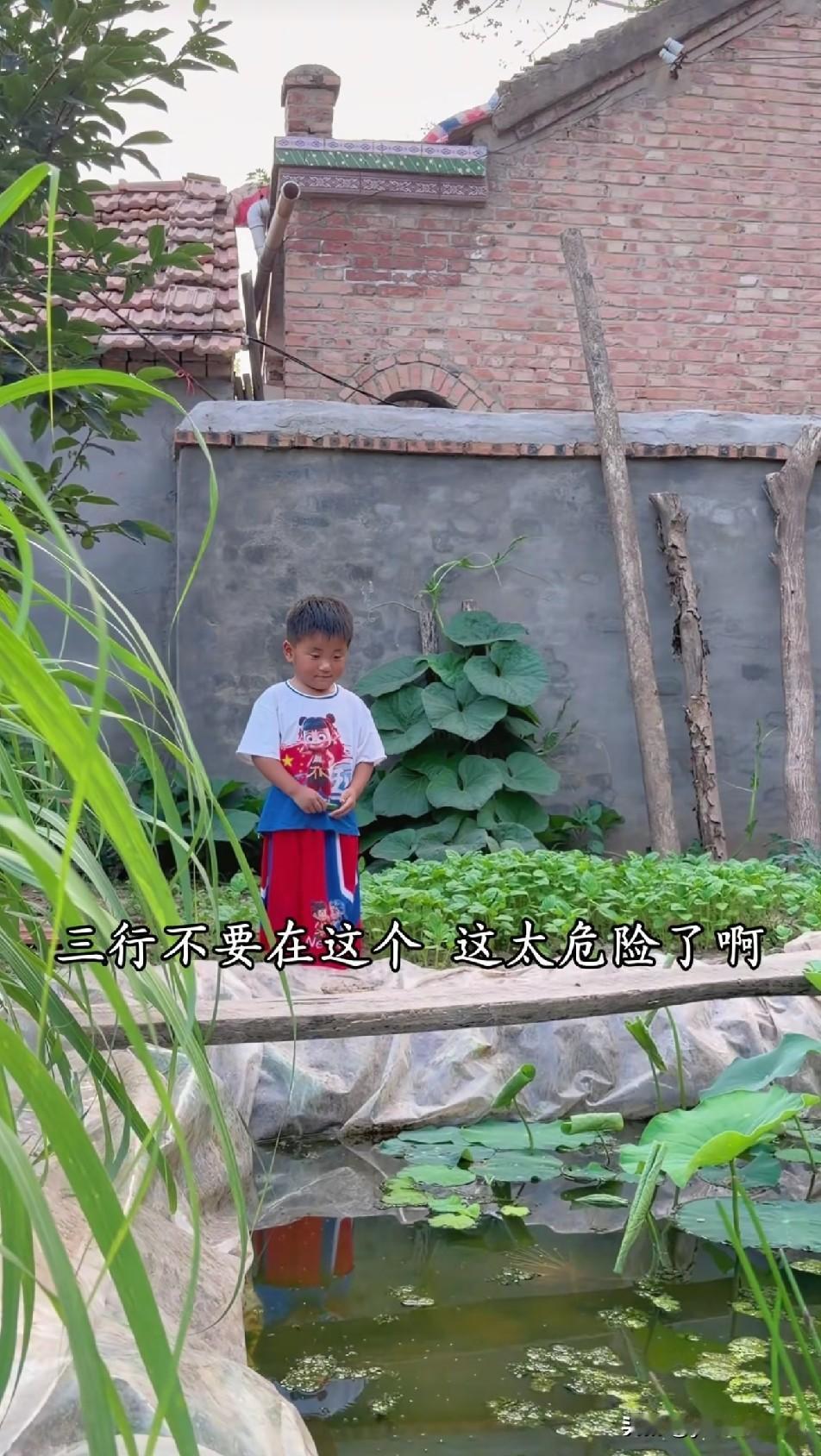 树兰心真大，自家门口搞个小池塘，老表提醒多次无果，树兰到觉得那是他种的小景致，好