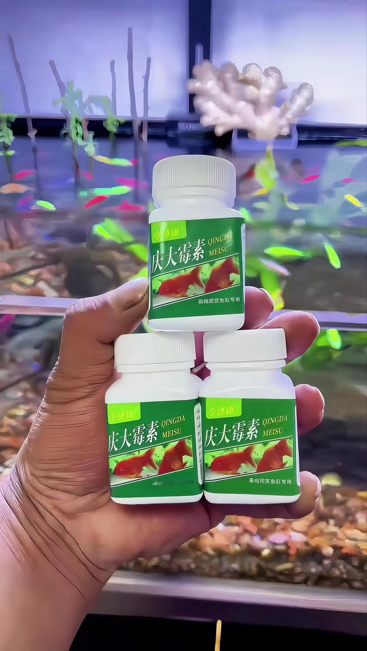 庆大霉素 观赏鱼 观赏鱼交叉感染 新手养鱼 养鱼日记