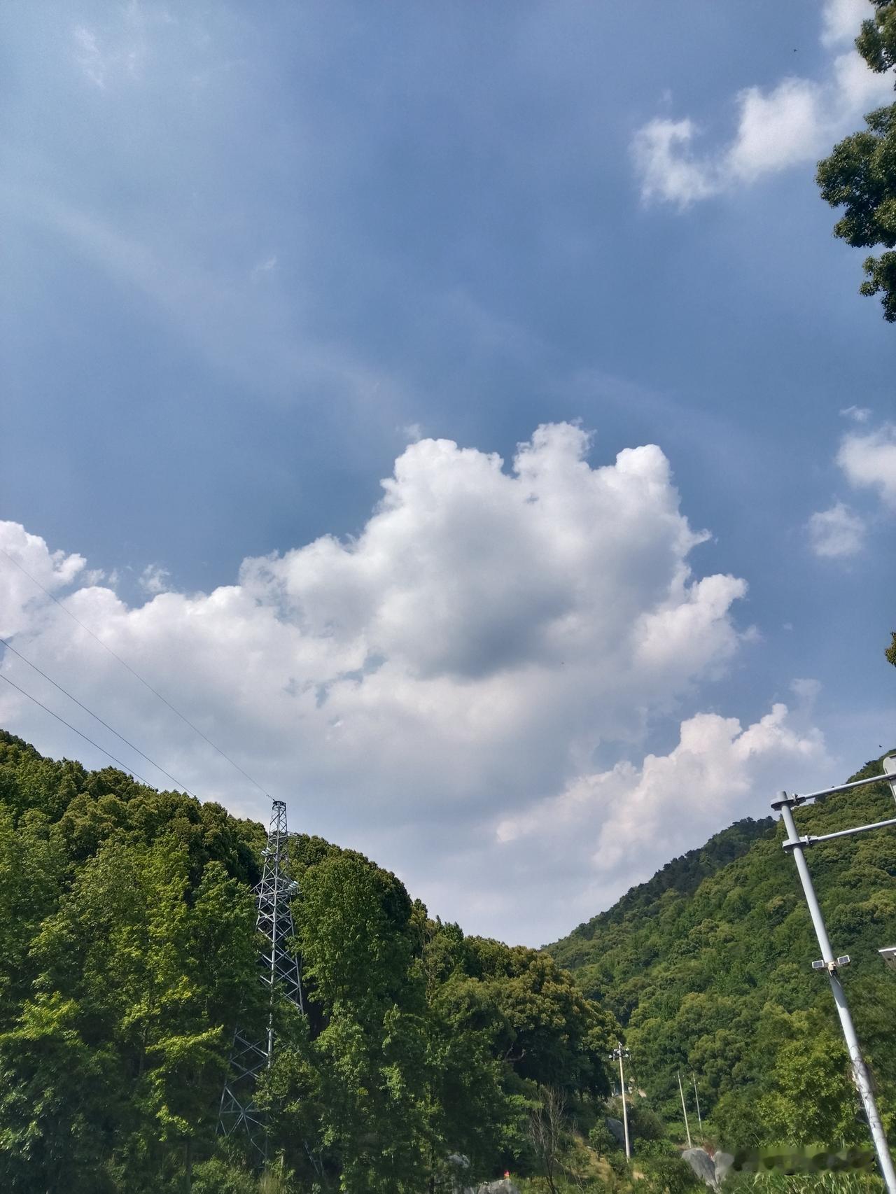 说实话，本山人并非专业的国际军事观察家，但以往我的判断相当准确。特朗普就是想钻法