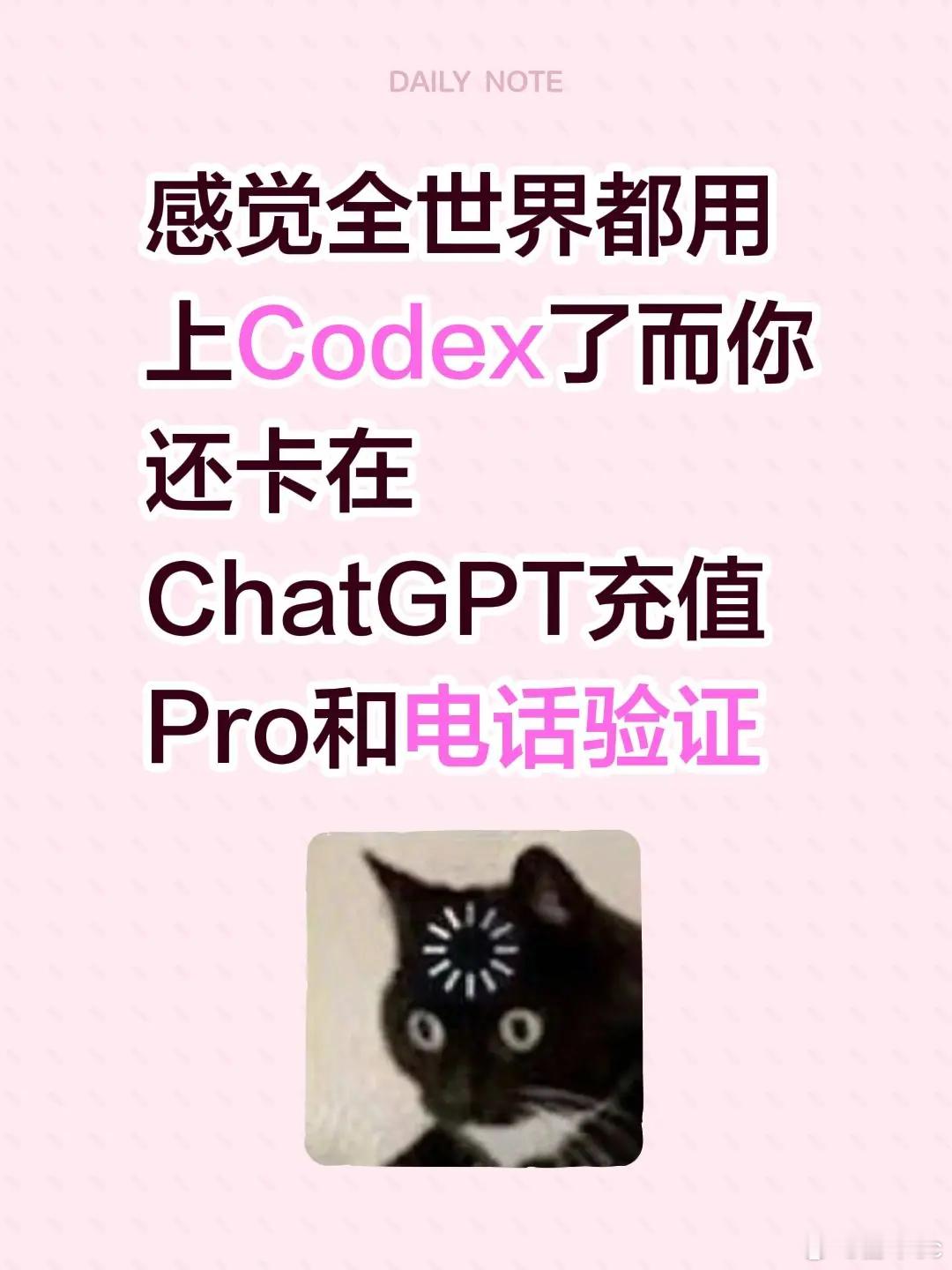 感觉全世界都用上Codex了而你还卡在 ChatGPT充值 Pro和电话验证GP