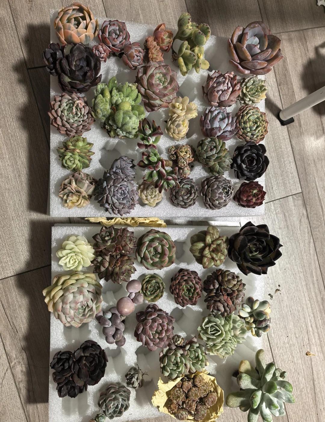 鸡蛋托最有用的一集
人不是生来为了上班的