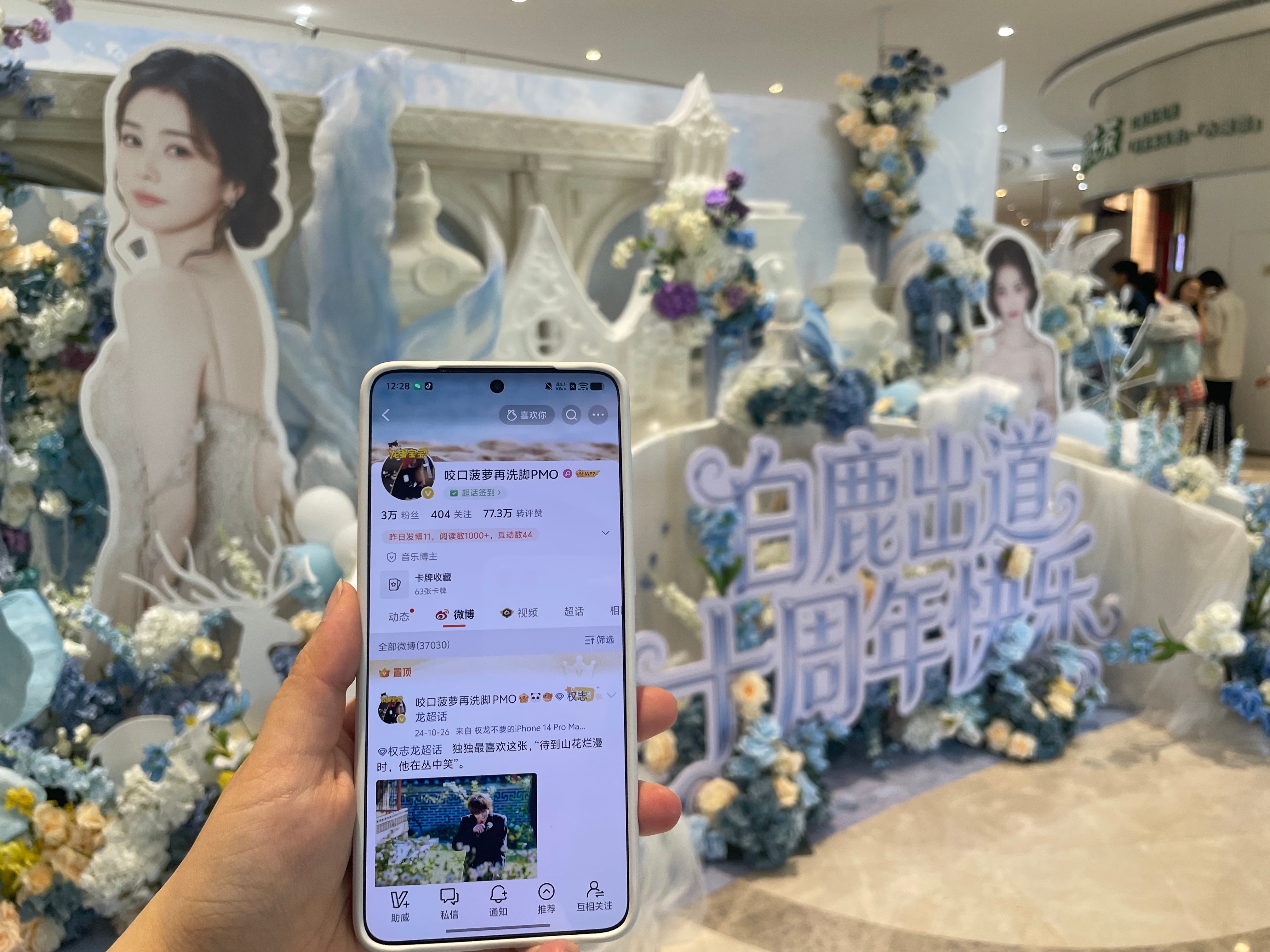 谢谢全世界最好的兔子
