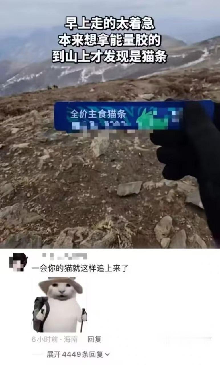 还我喵 