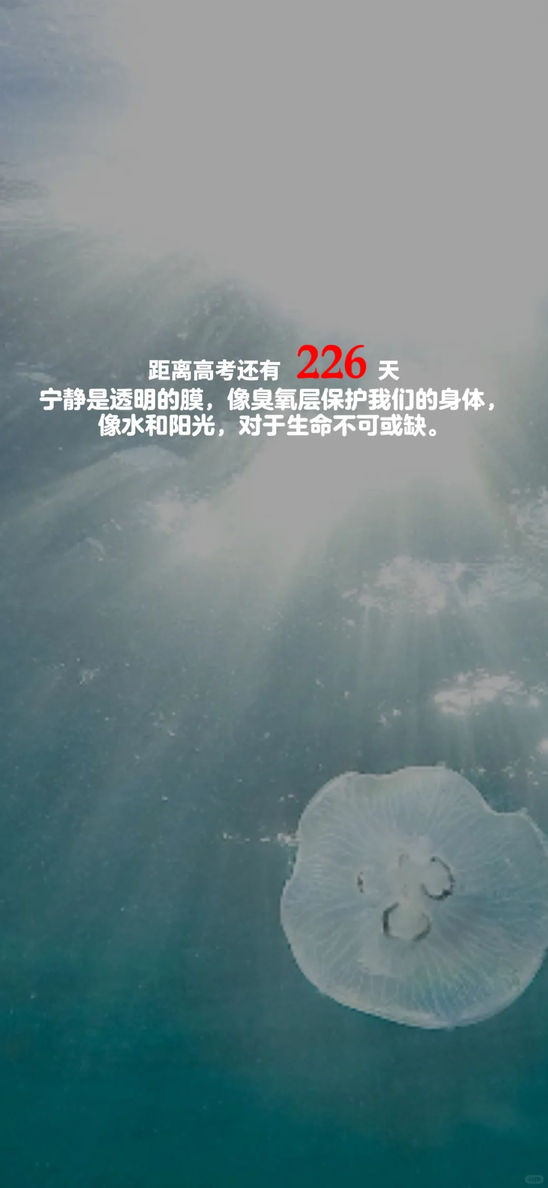 2025高考倒计时，每日更新。