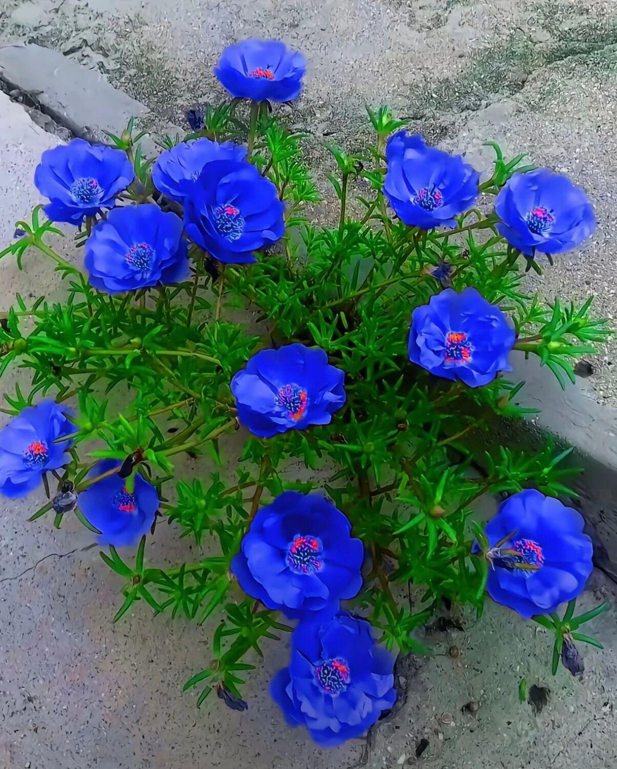 岁月静好，谁在负重前行我们眼中安稳平淡的日常，不过是有人在看不见的地方默默扛下风