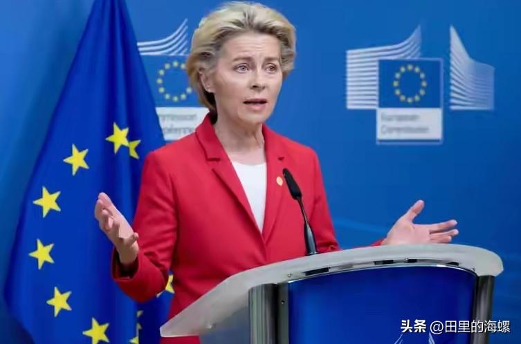 欧洲尴尬了！今天，欧盟主席冯德莱恩，在欧洲议会讲话时称:受中东局势影响，市场天然
