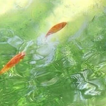 森林驿站每日‬一善阳光‬‬信用‬ 善乃万德之源，孝是百善之首。 善，即修身律己，