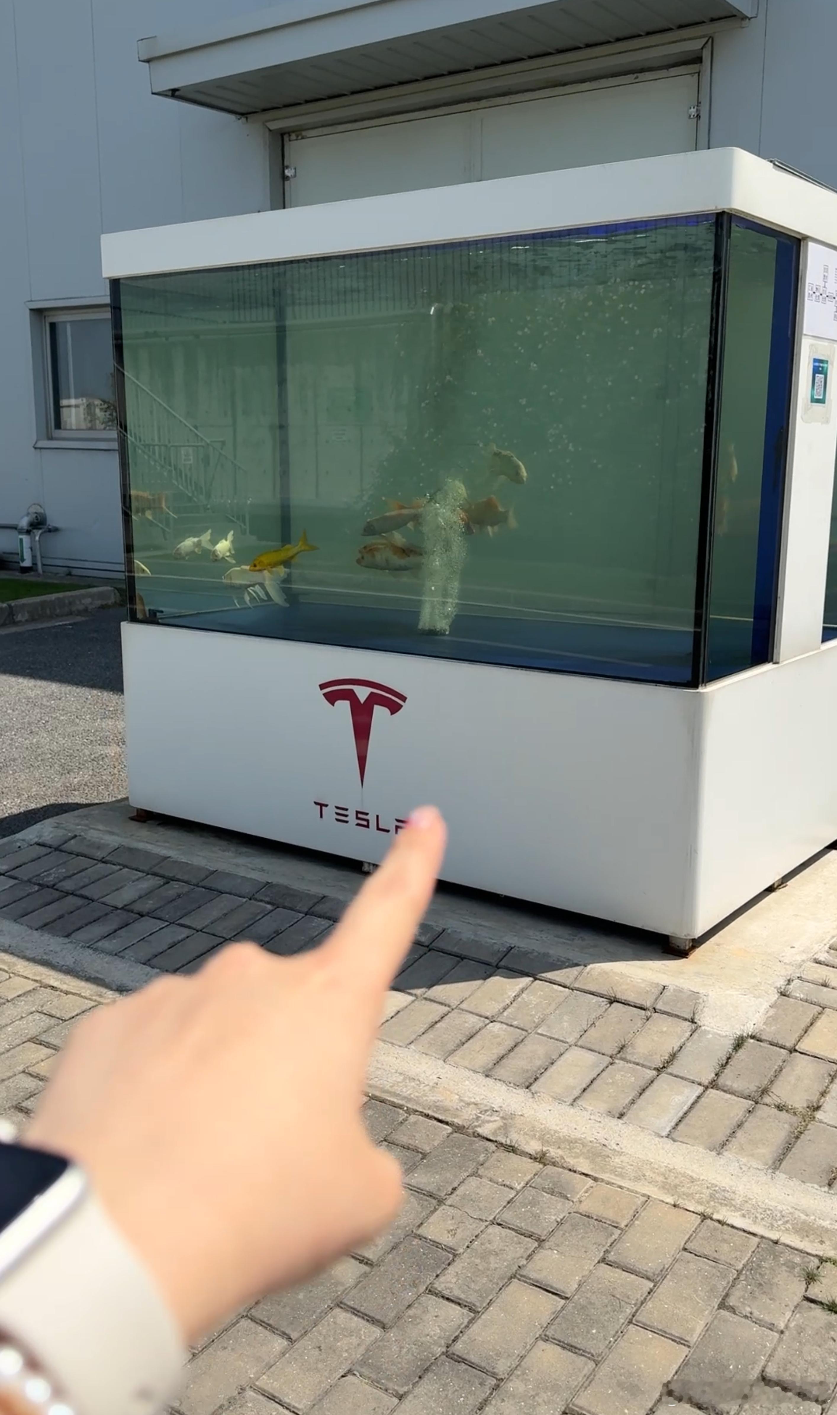 前几天去特斯拉上海超级工厂参观，没想到在这个以生产智能电动车而闻名的工厂里看到了