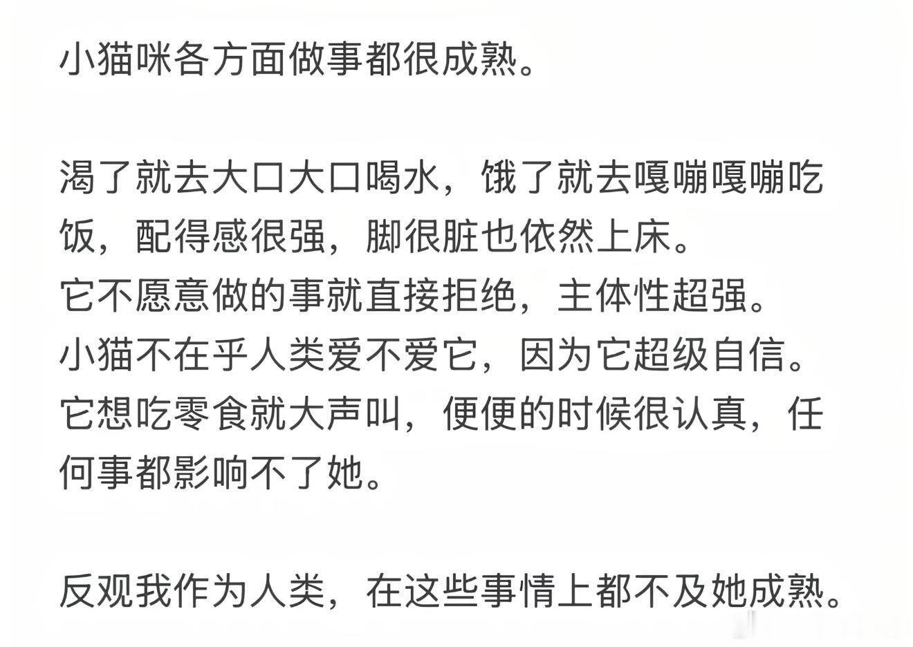 小猫各方面做事都很成熟 情感热点创作激励计划