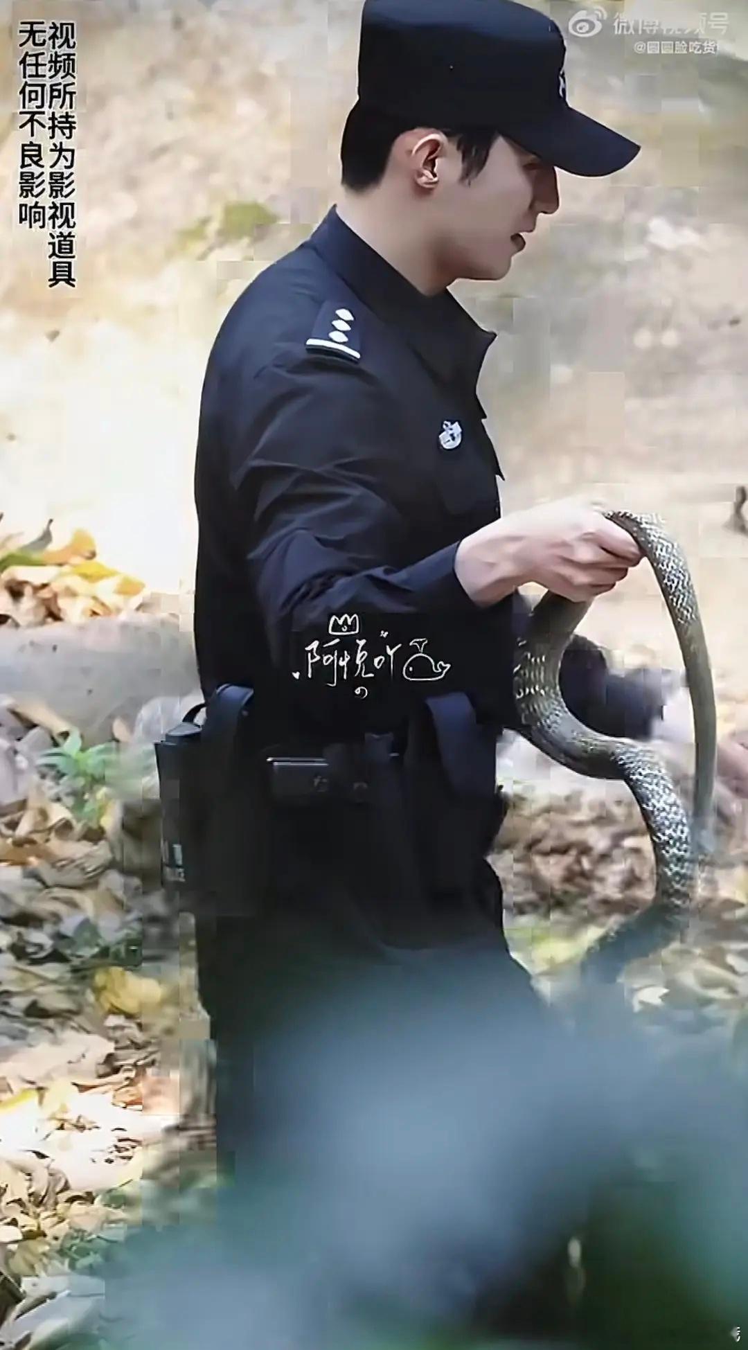 黄景瑜徒手抓🐍还是太超前了…不愧是黄sir，别人演的不像他不像演的 