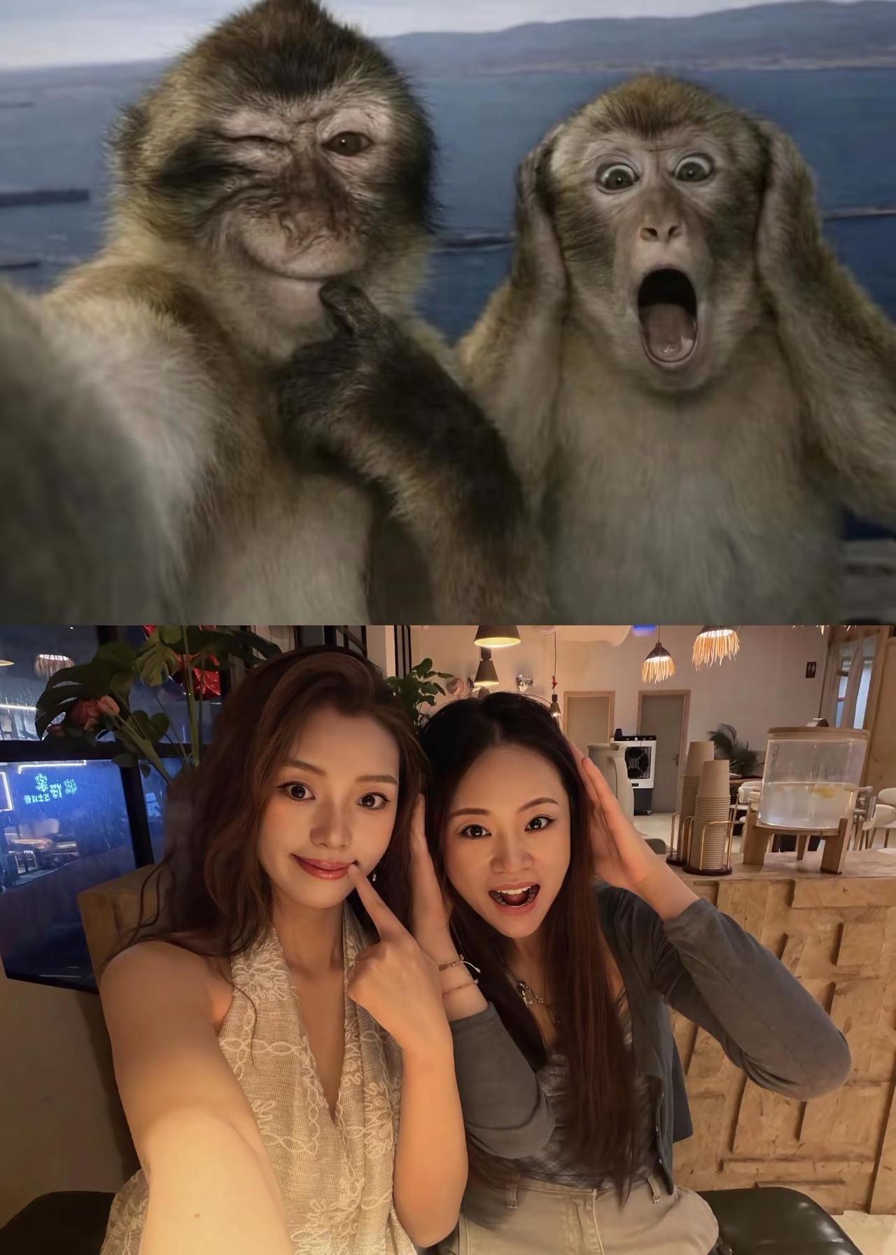 已拍 不欠拍照 抽象
