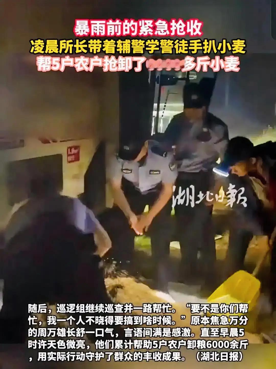 凌晨一点，暴雨将至！派出所所长带头钻收割机：手扒泥水 4 小时，抢回 6000 